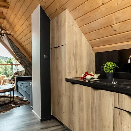 Udanypobyt Sky شقة